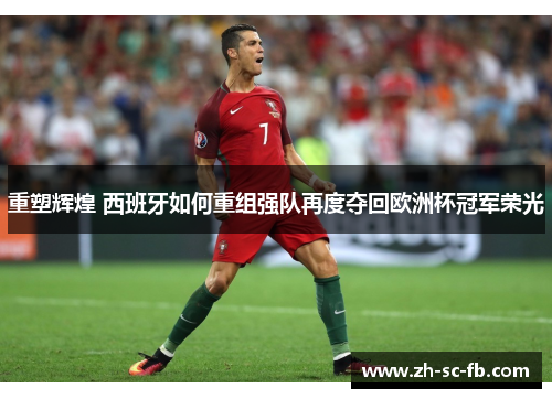 重塑辉煌 西班牙如何重组强队再度夺回欧洲杯冠军荣光