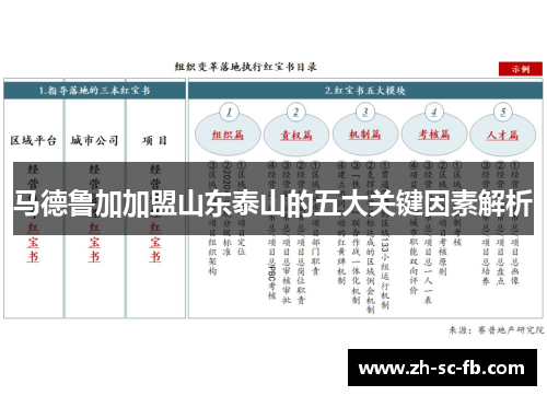 马德鲁加加盟山东泰山的五大关键因素解析
