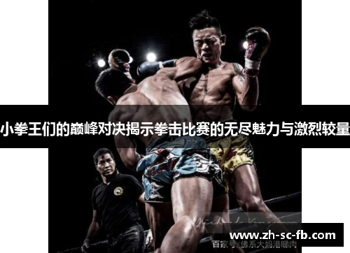 小拳王们的巅峰对决揭示拳击比赛的无尽魅力与激烈较量